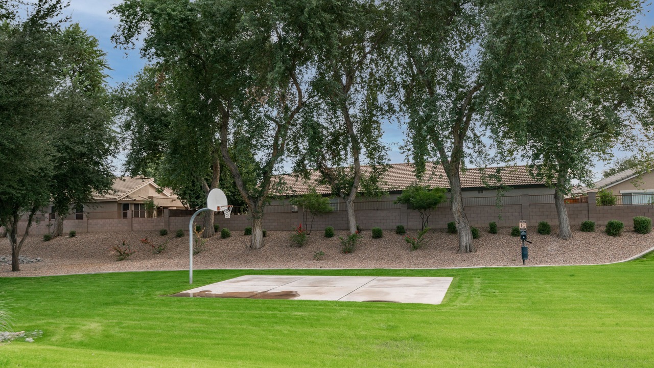Photo of Others in Alta Mesa