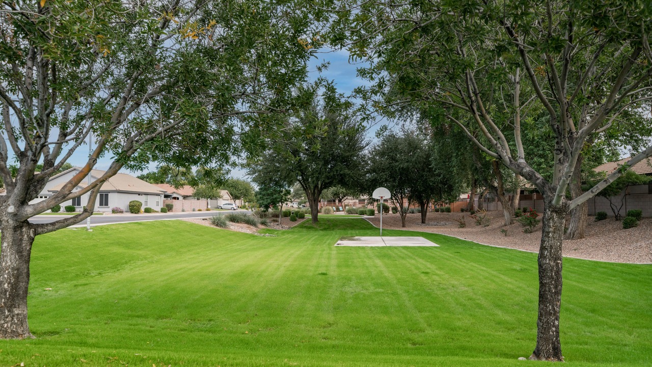 Photo of Outdoor in Alta Mesa