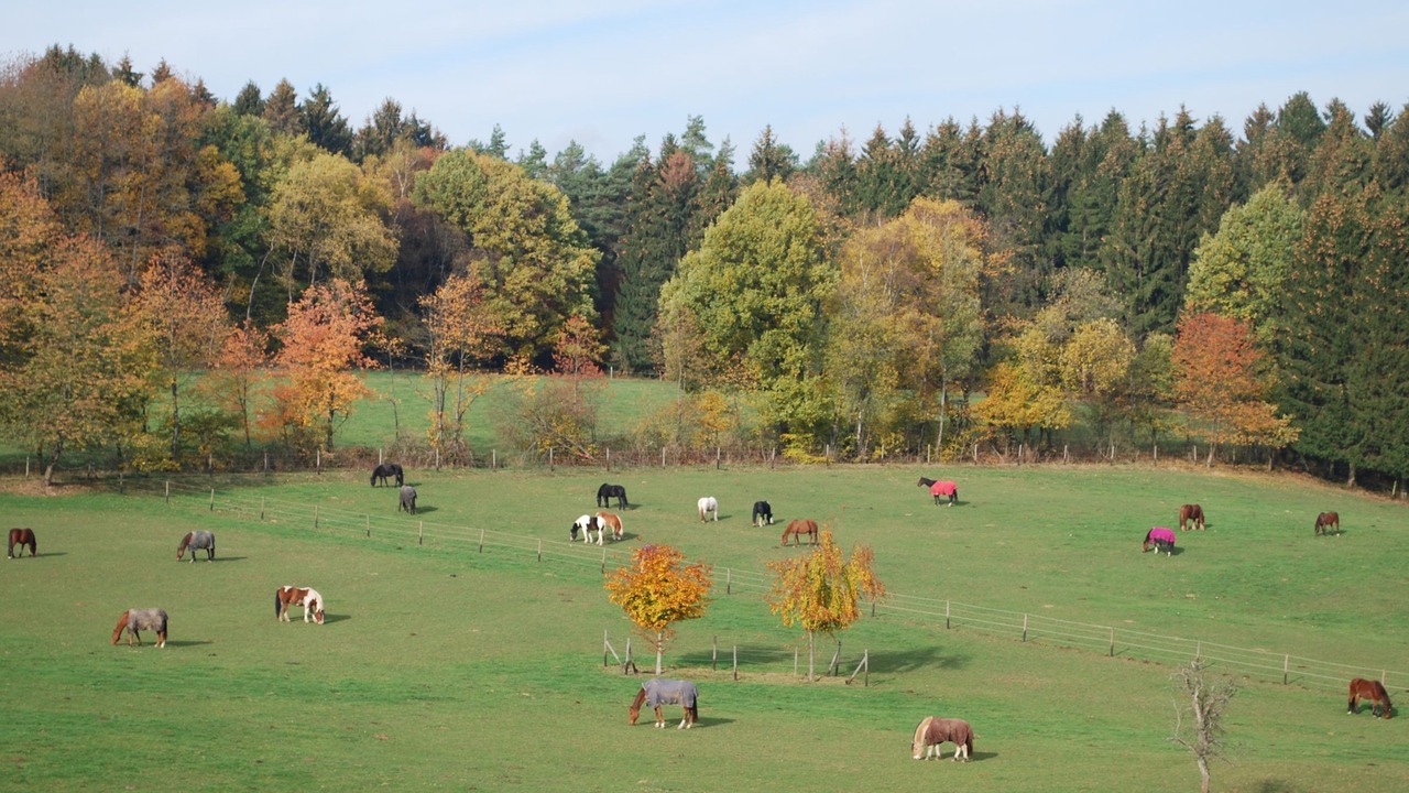 Photo of Others in Wiehl
