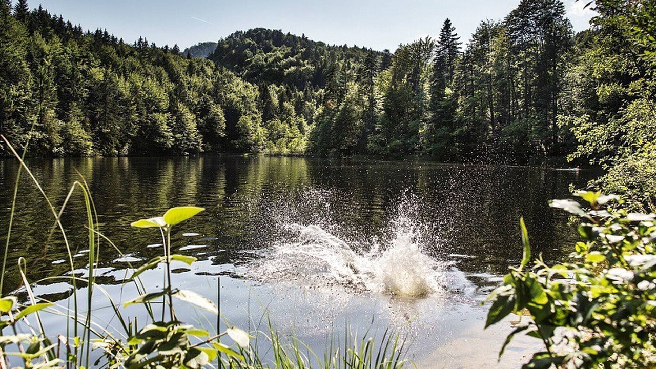 Photo of Outdoor in Ebbs