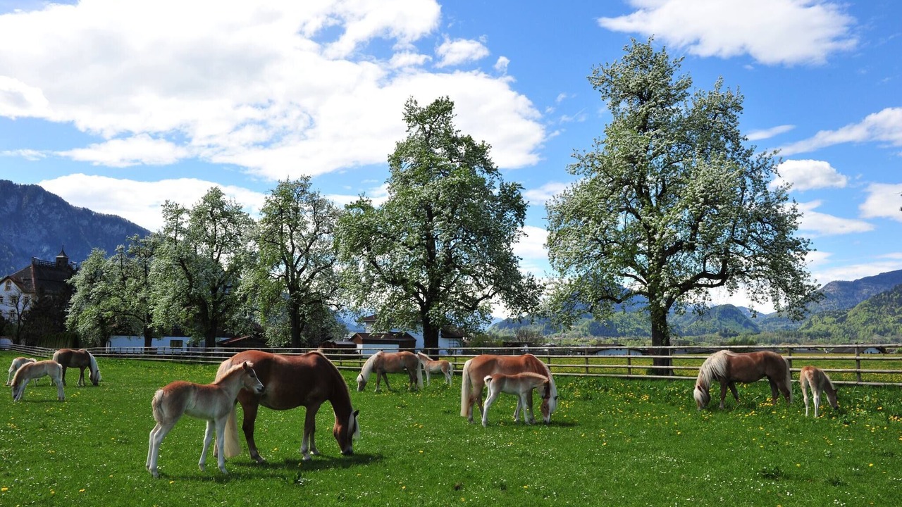 Photo of Outdoor in Ebbs