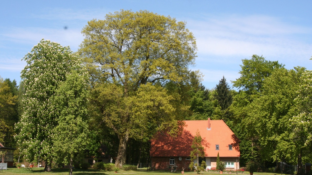 Photo of Outdoor in Zapel