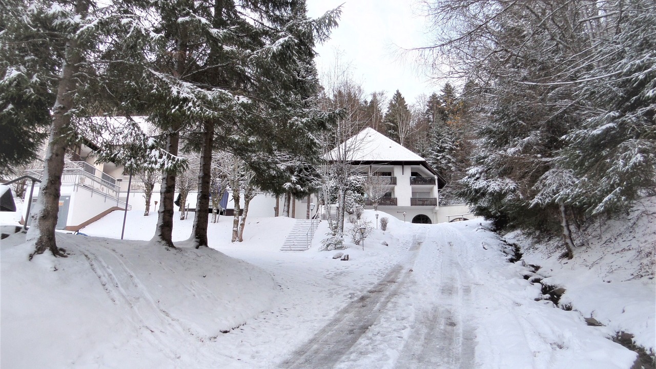 Photo of Outdoor in Triberg im Schwarzwald