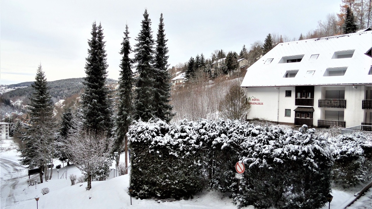 Photo of Outdoor in Triberg im Schwarzwald