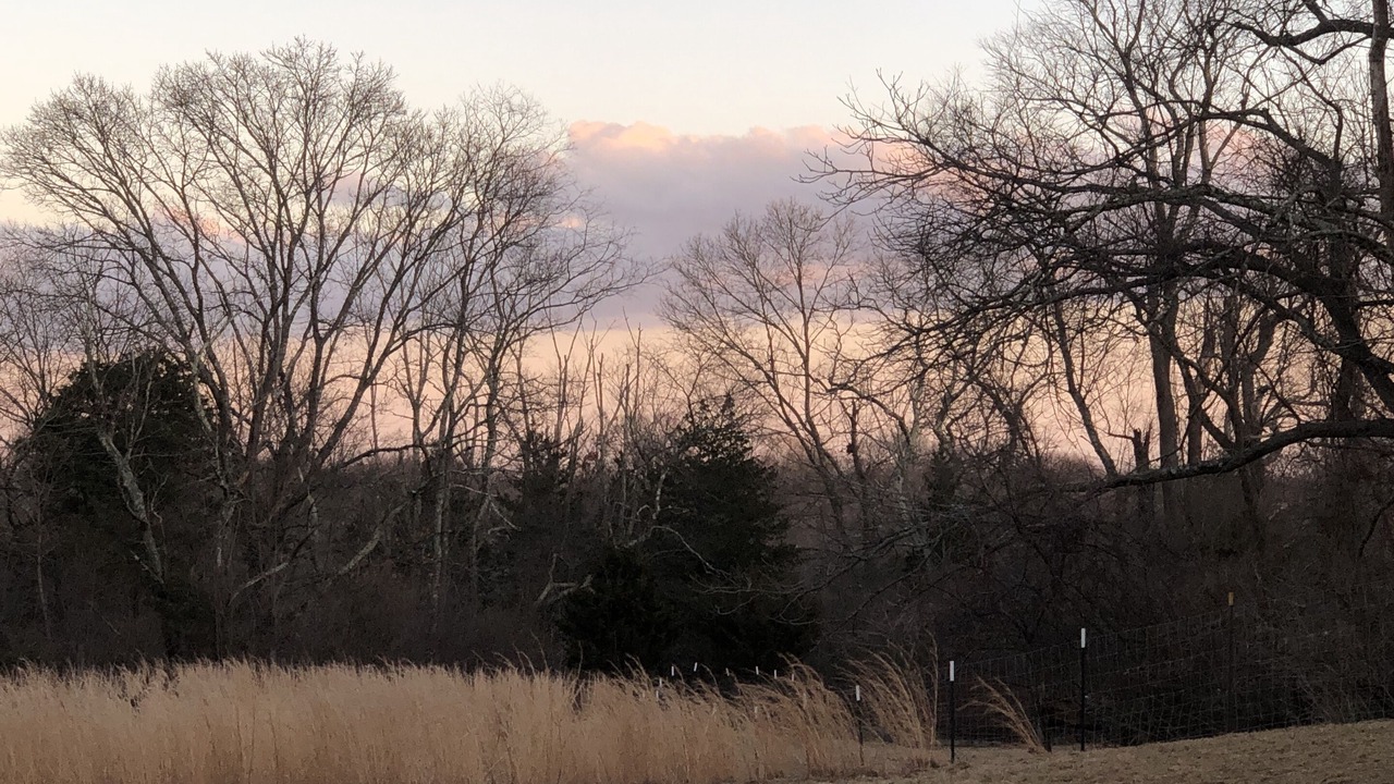 Photo of Outdoor in Cranston