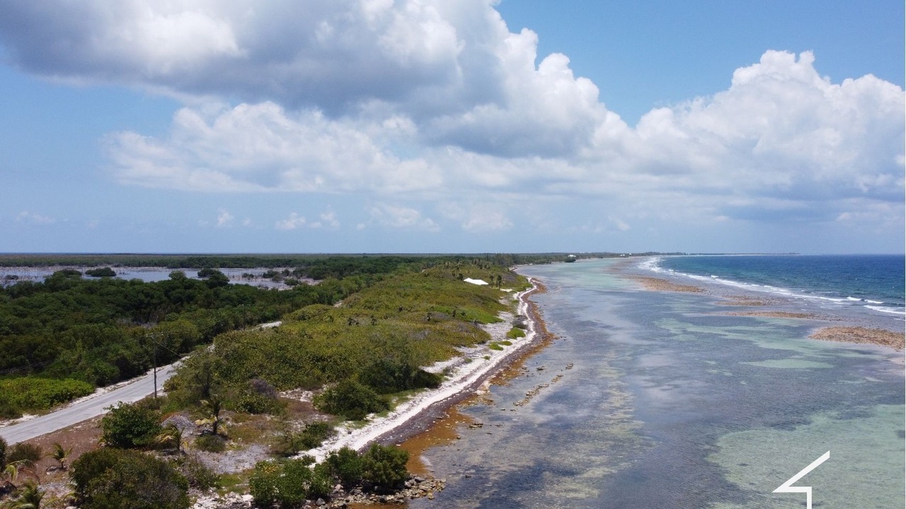 Photo of Others in Little Cayman