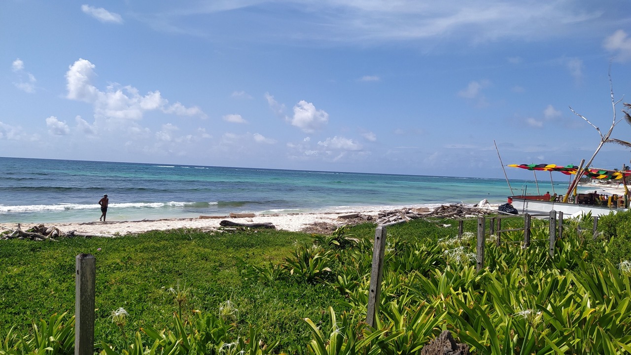 Photo of Others in Punta Sur