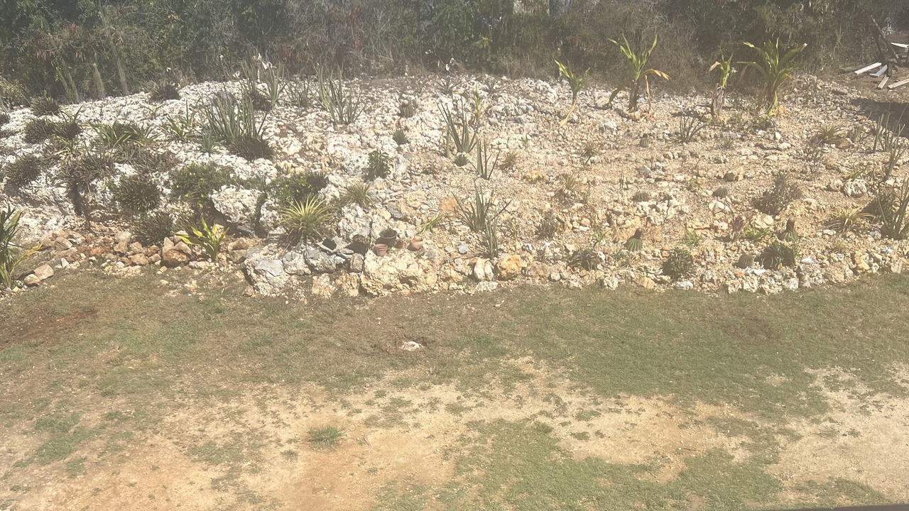 Photo of Outdoor in The Valley