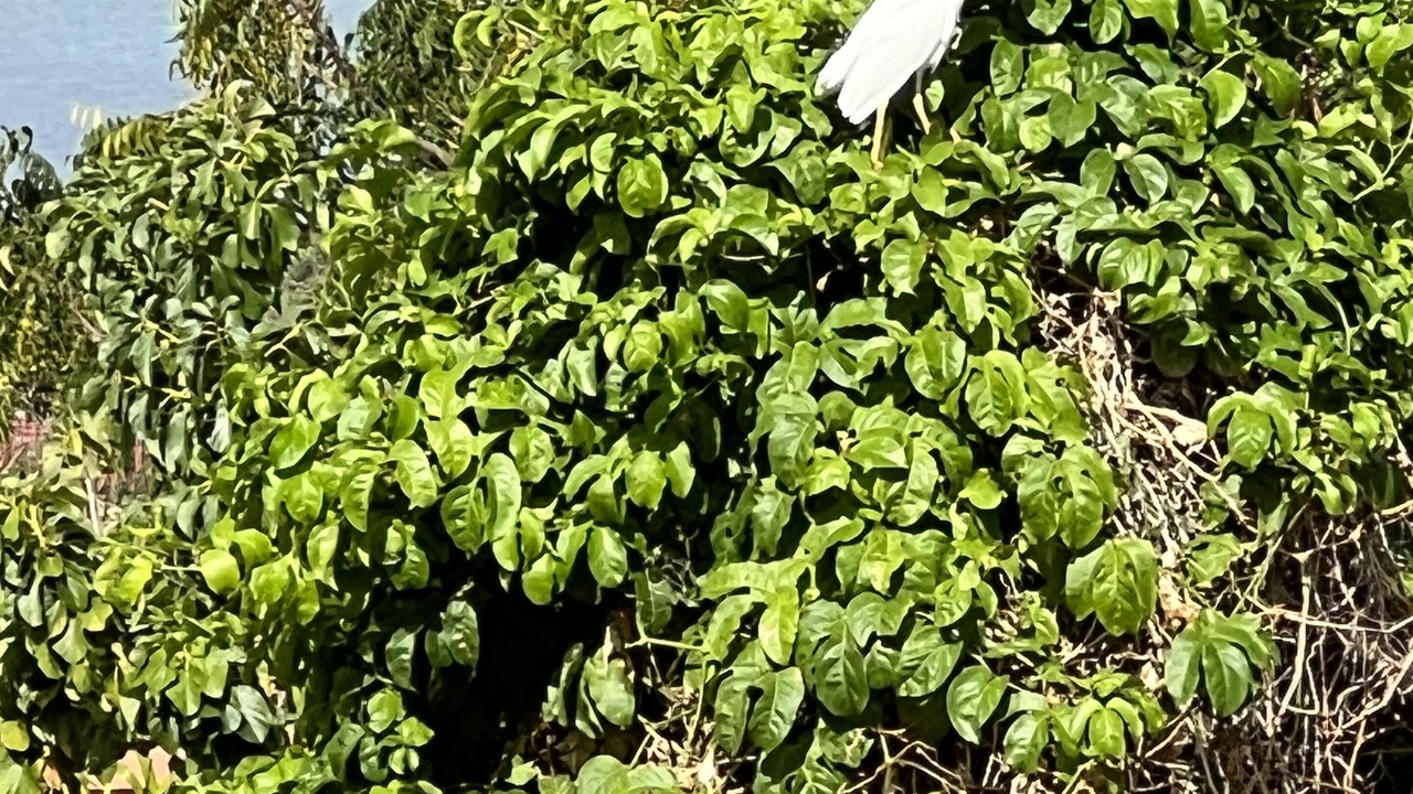 Photo of Outdoor in The Valley