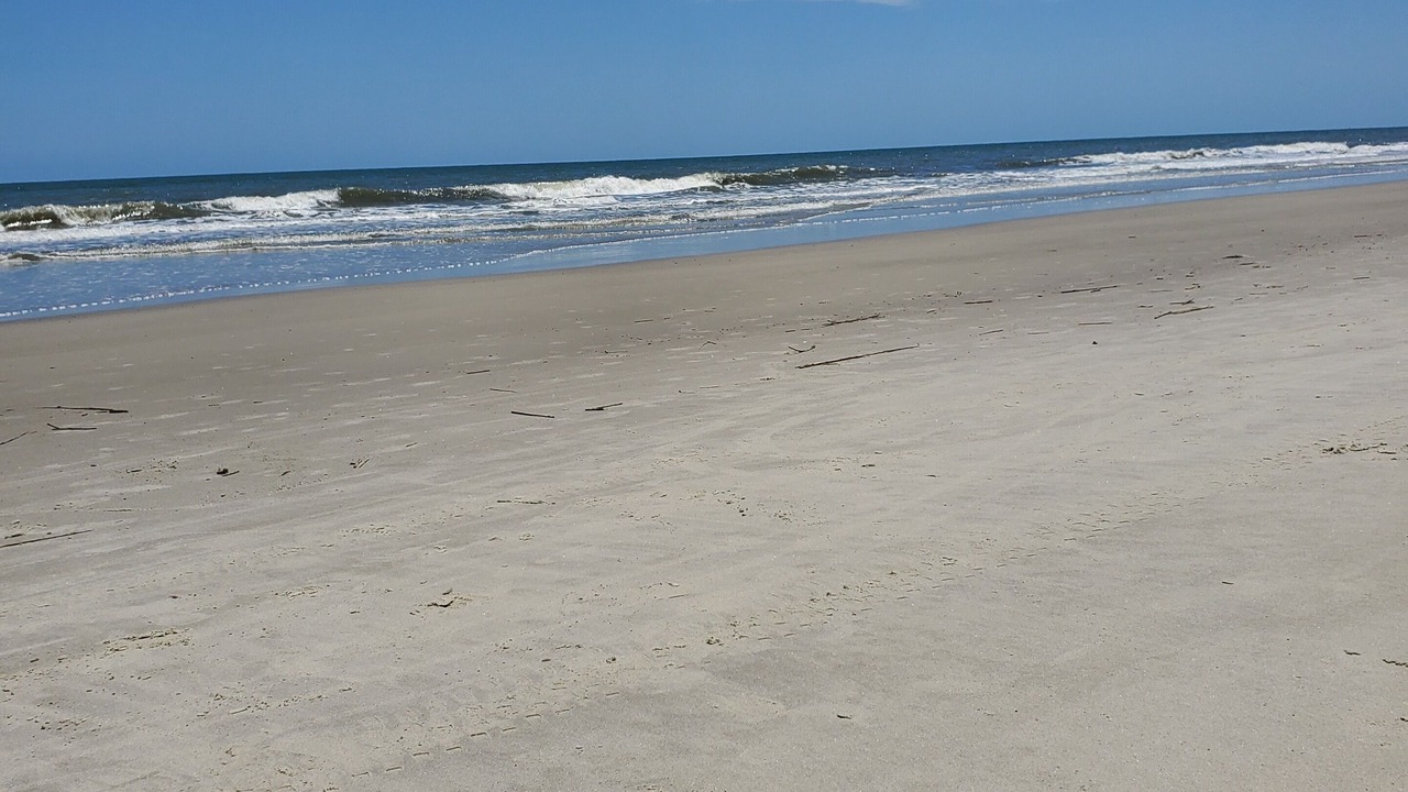 Photo of Others in Folly Field