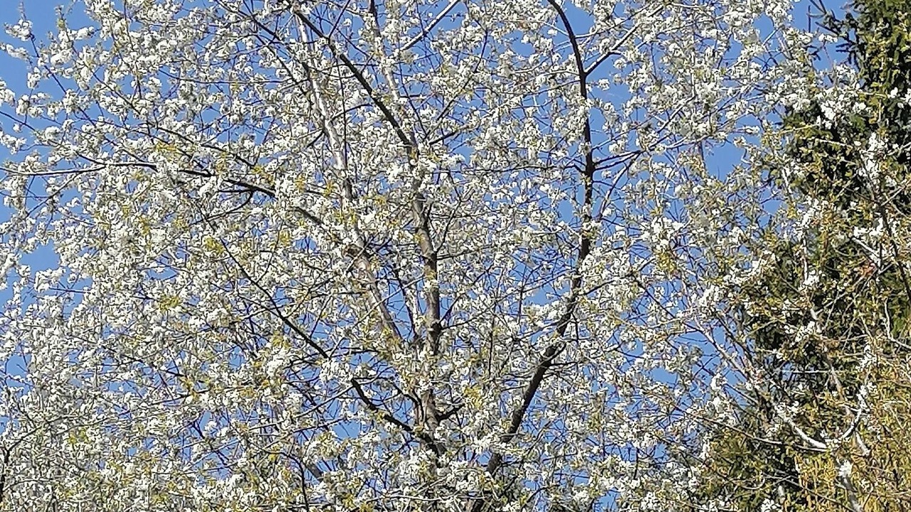 Photo of Outdoor in Mutters