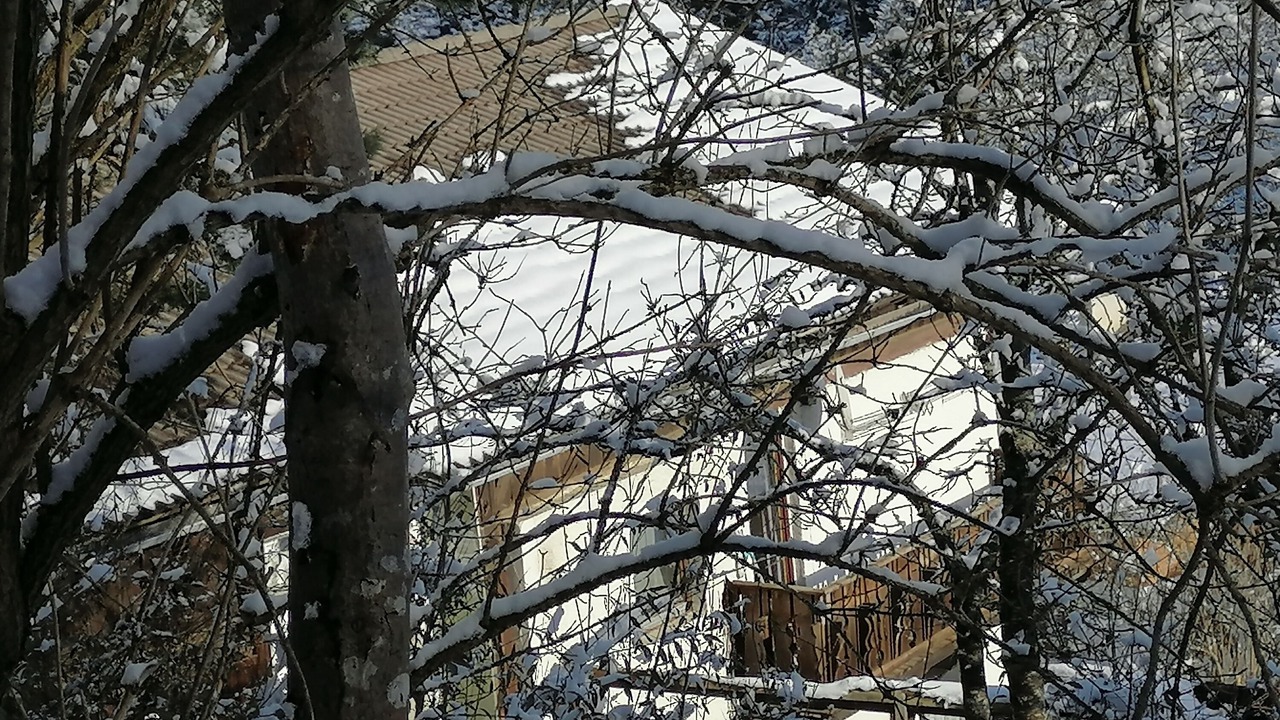 Photo of Outdoor in Mutters