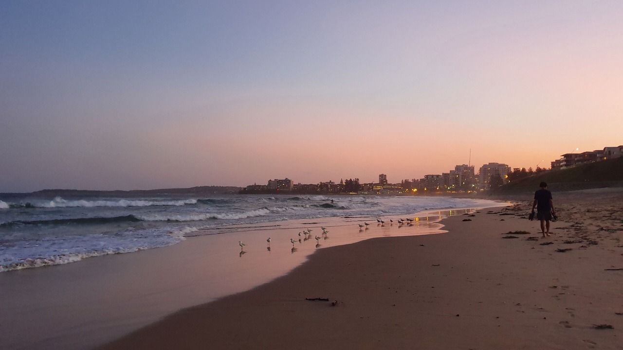 Photo of Others in Cronulla