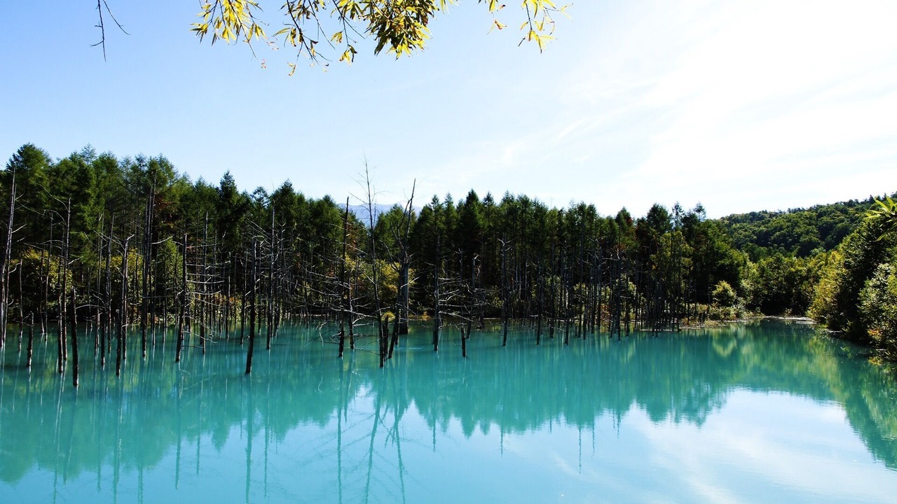 Photo of Outdoor in Biei