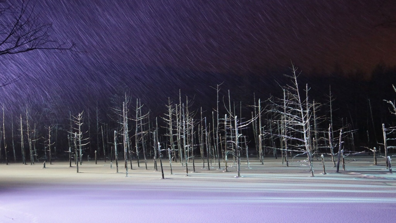 Photo of Outdoor in Biei