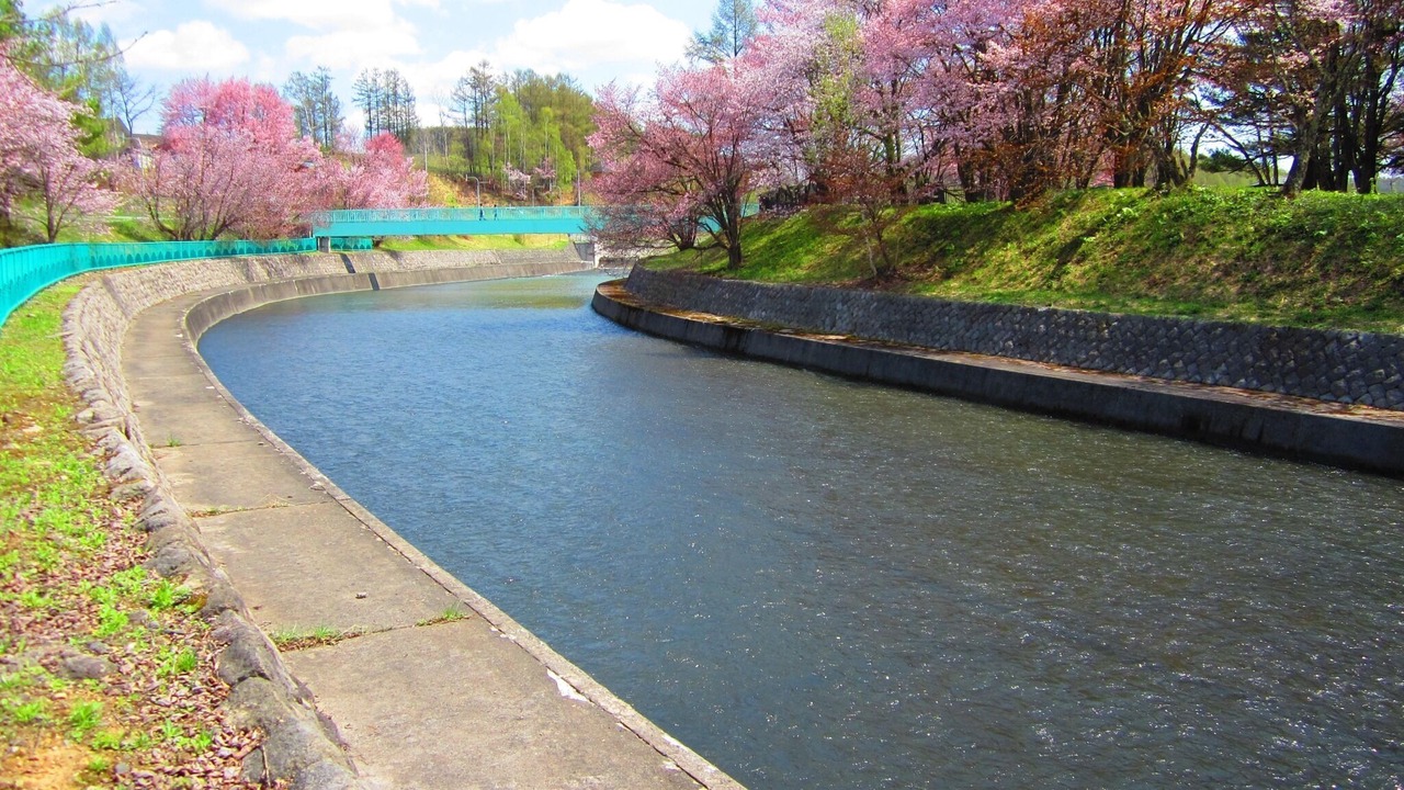 Photo of Outdoor in Biei