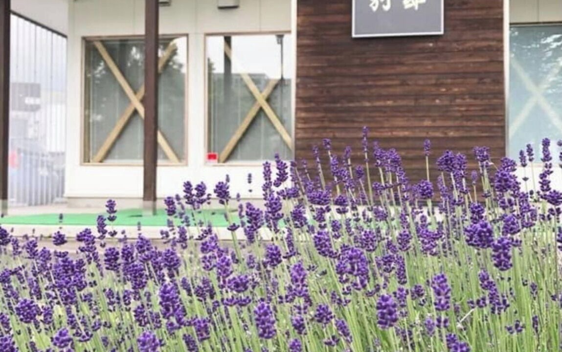 Photo of Outdoor in Furano