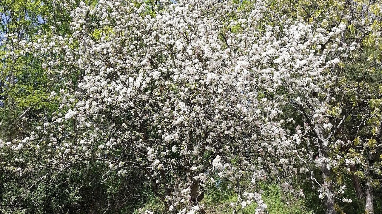 Photo of Outdoor in Mutters