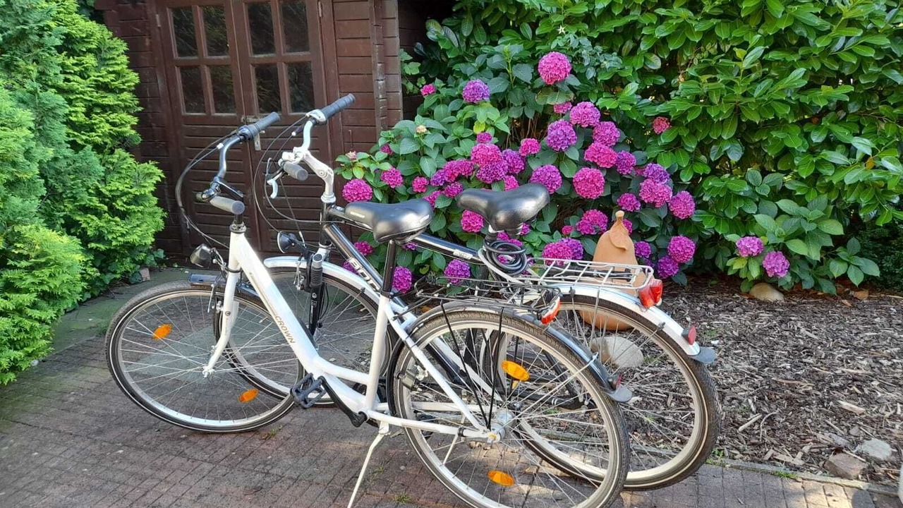 Photo of Outdoor in Ditzum