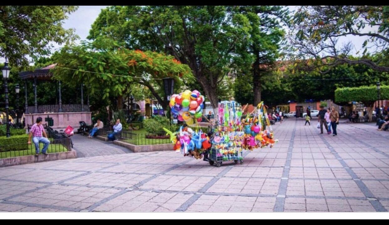Photo of Others in Zamora