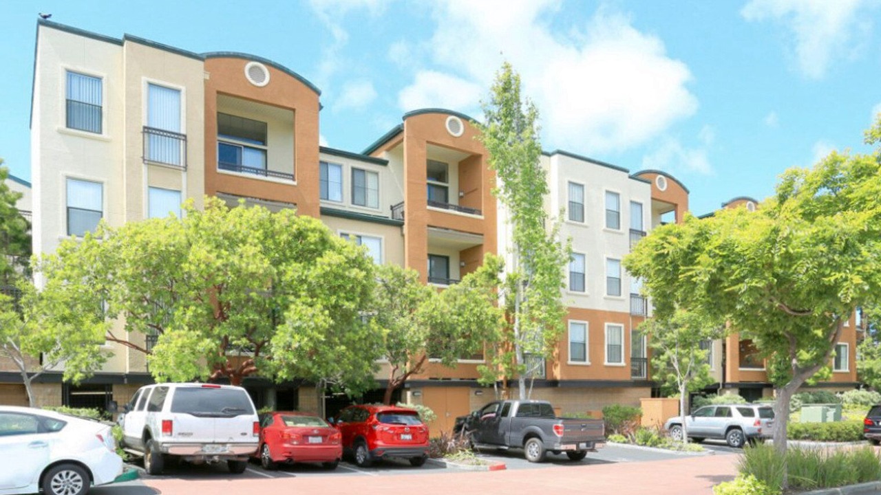 Photo of Outdoor in East San Mateo