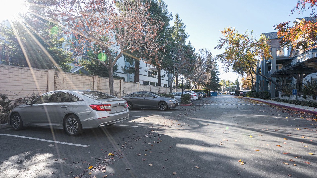 Photo of Outdoor in Morse Park