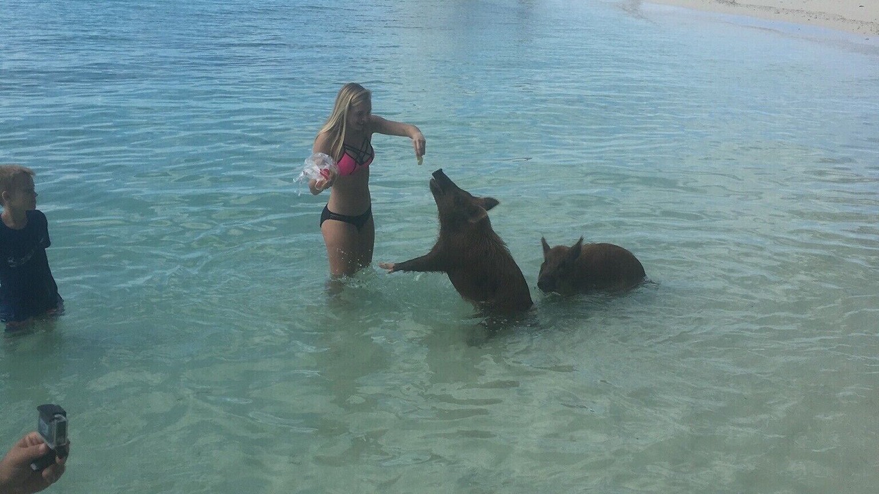 Photo of Others in Treasure Cay