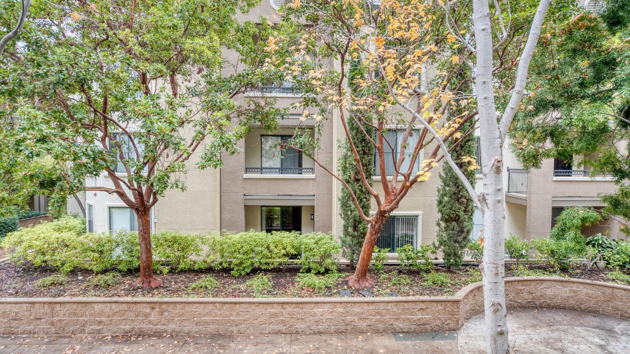 Photo of Outdoor in East San Mateo