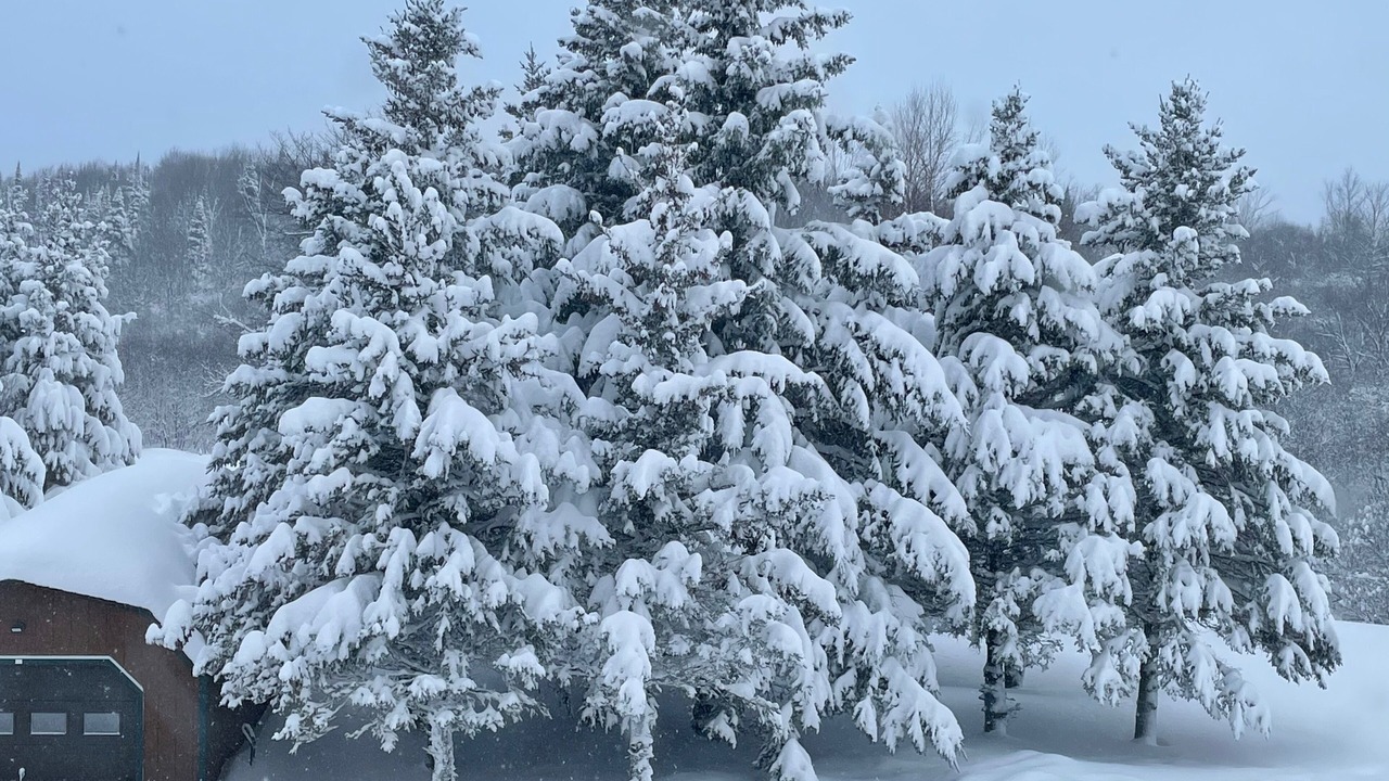 Photo of Outdoor in South Rutland