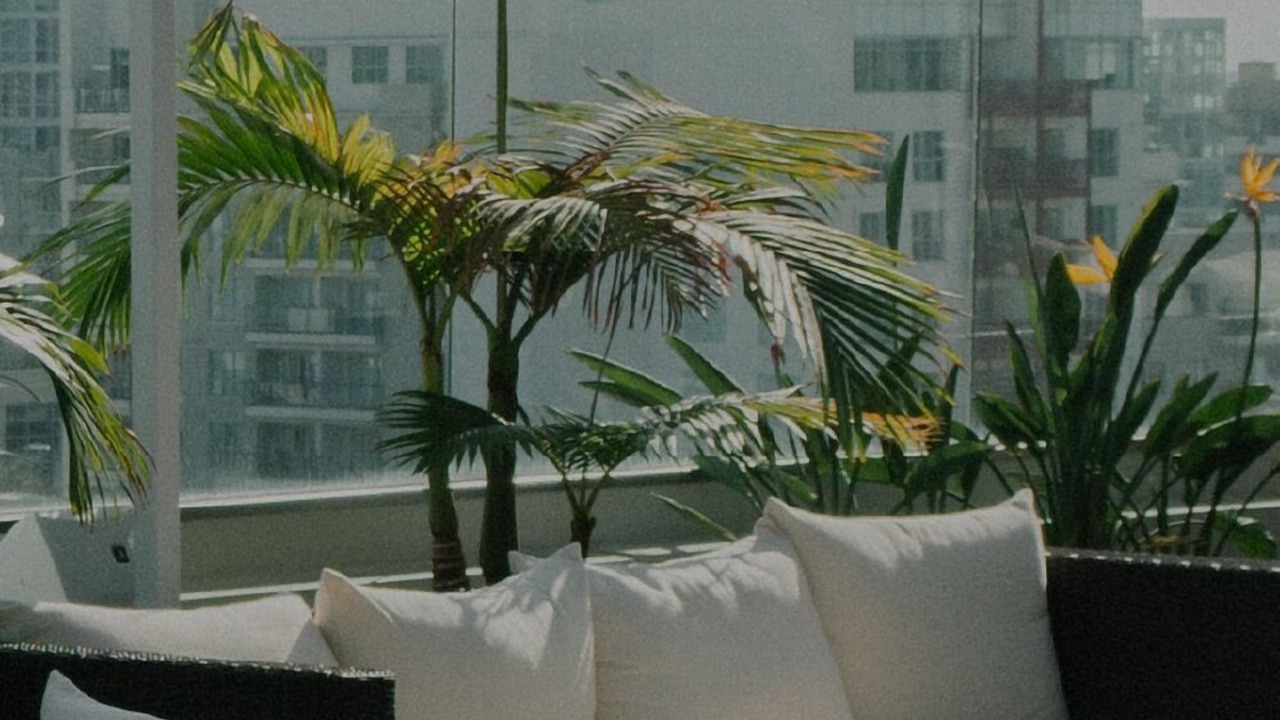 Photo of Outdoor in South Beach