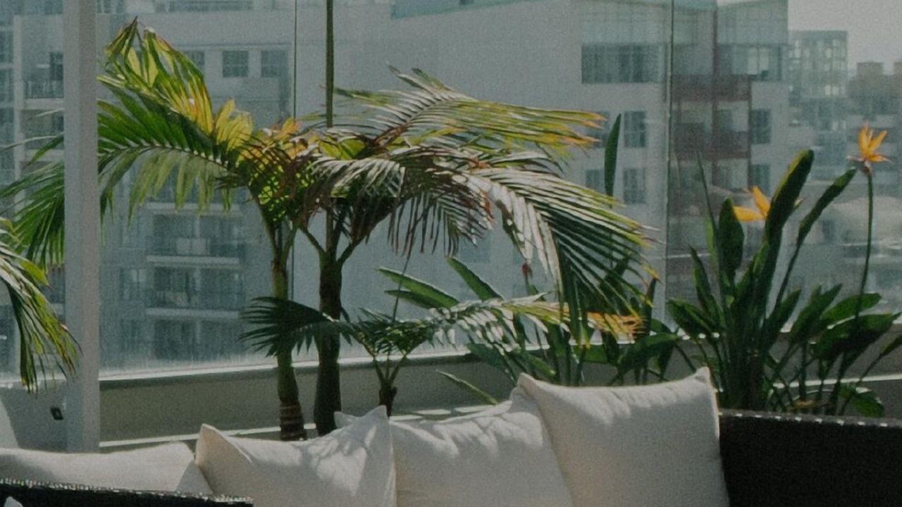 Photo of Outdoor in South Beach