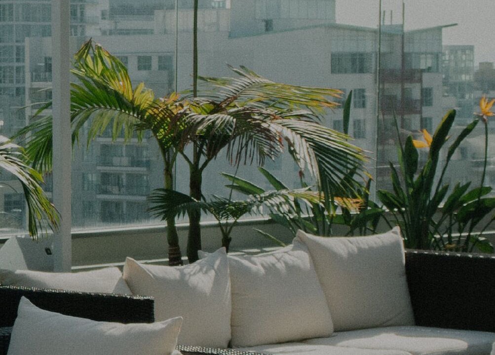 Photo of Outdoor in South Beach