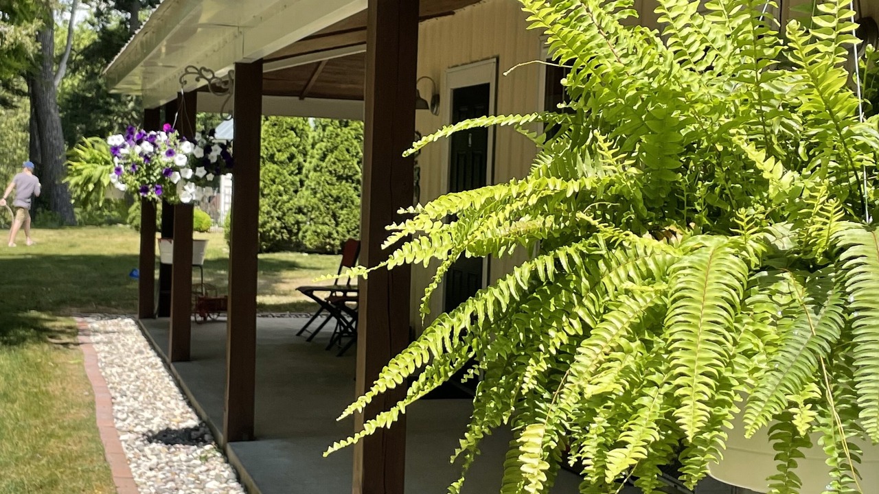 Photo of Outdoor in Newaygo