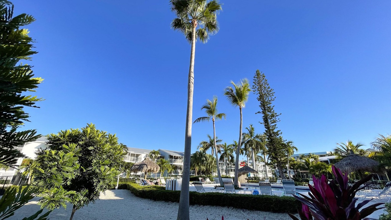Photo of Outdoor in Key Largo