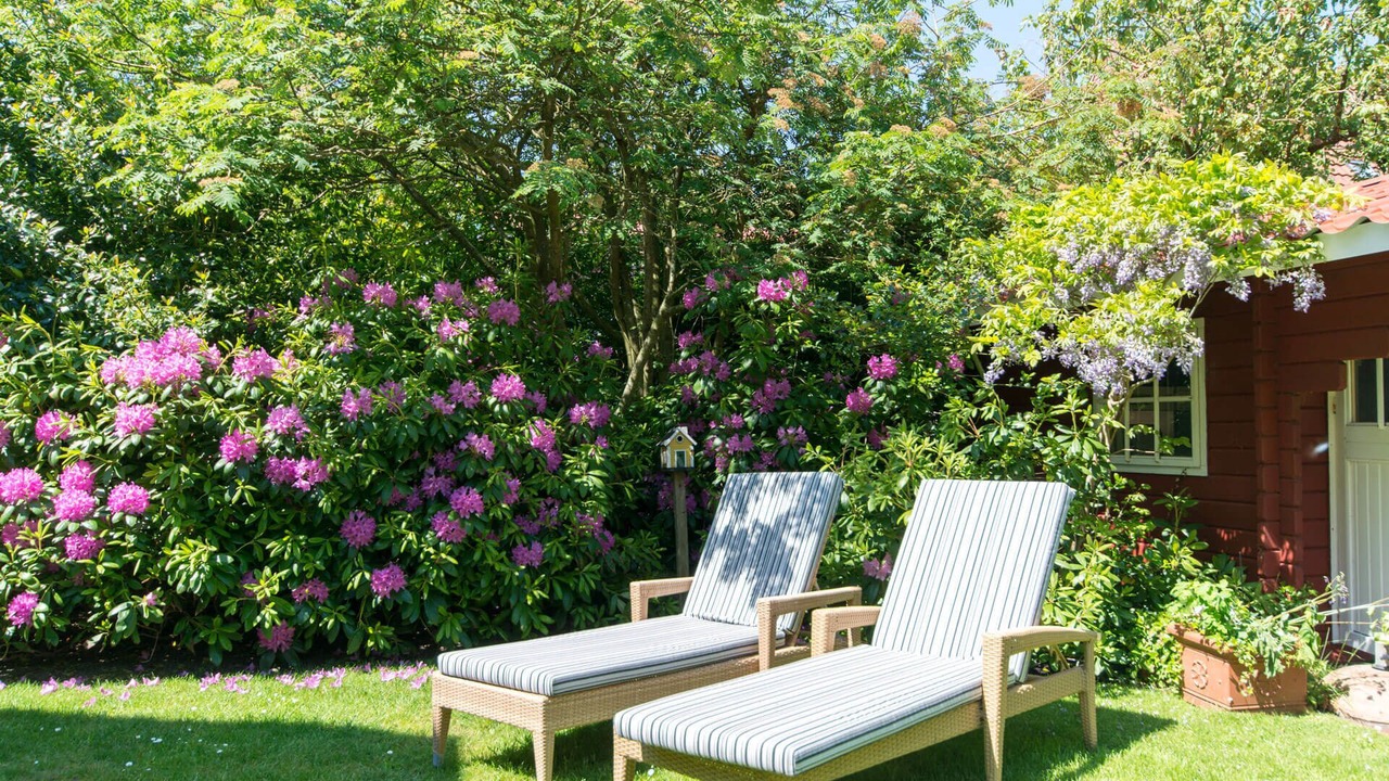 Photo of Outdoor in Spiekeroog