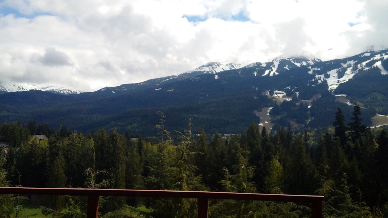Photo of Outdoor in Blueberry Hill