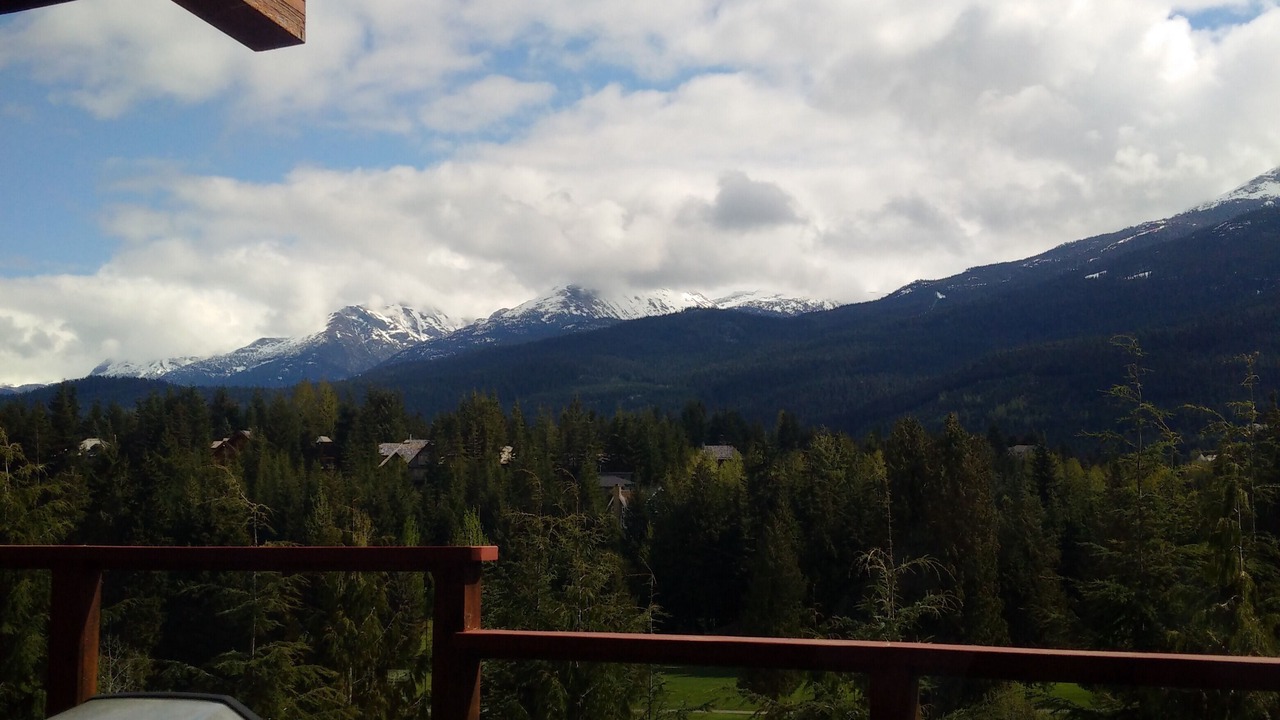 Photo of Outdoor in Blueberry Hill