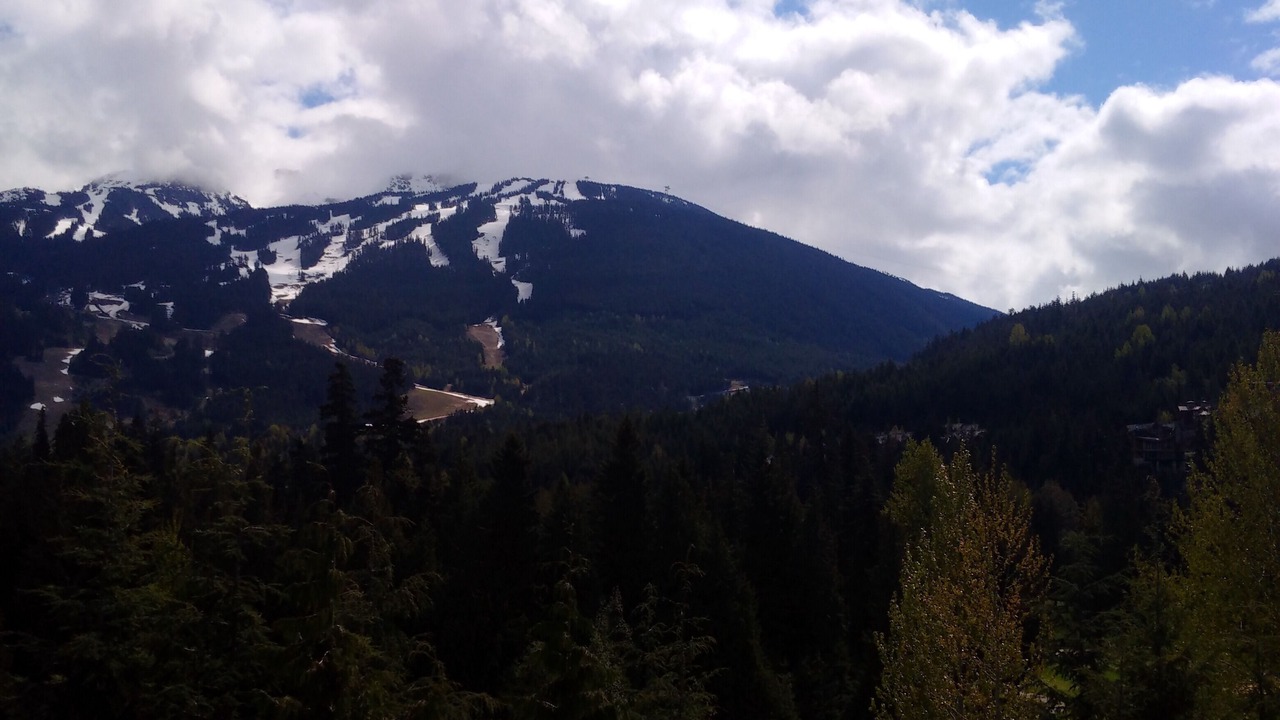 Photo of Outdoor in Blueberry Hill