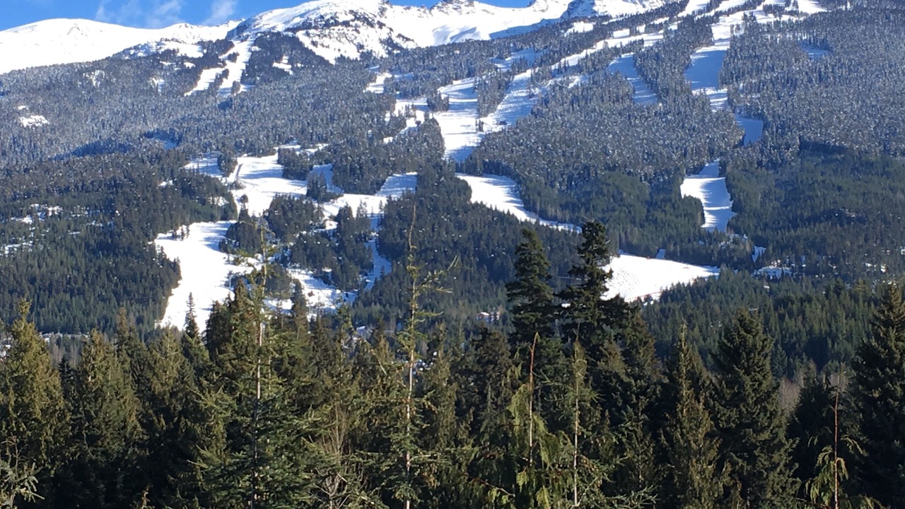Photo of Outdoor in Blueberry Hill