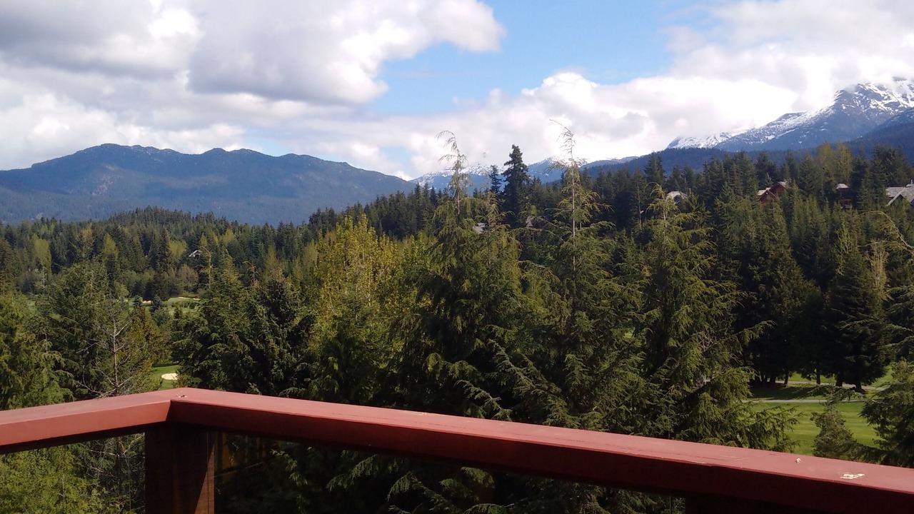 Photo of Outdoor in Blueberry Hill