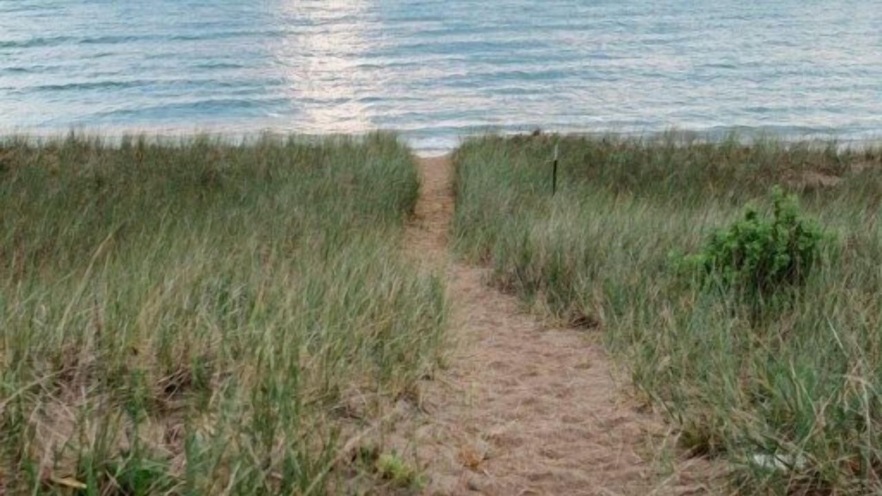 Photo of Others in Manistee