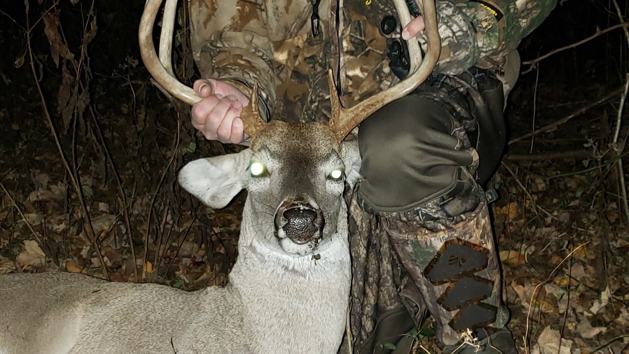 Photo of Others in Lincoln County
