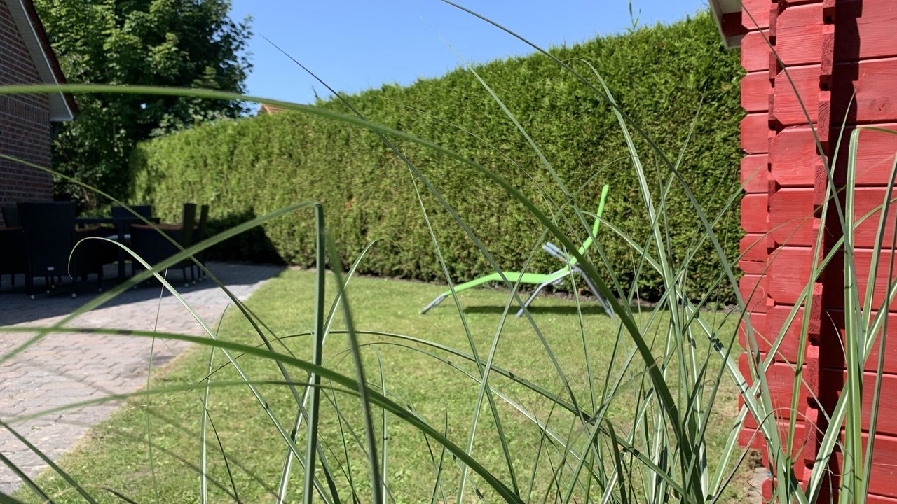 Photo of Outdoor in Hamswehrum