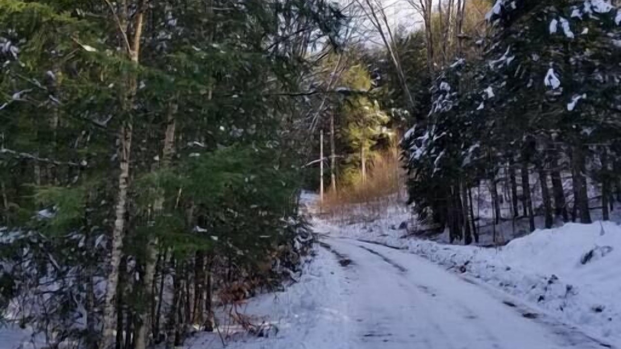 Photo of Others in Woodsville