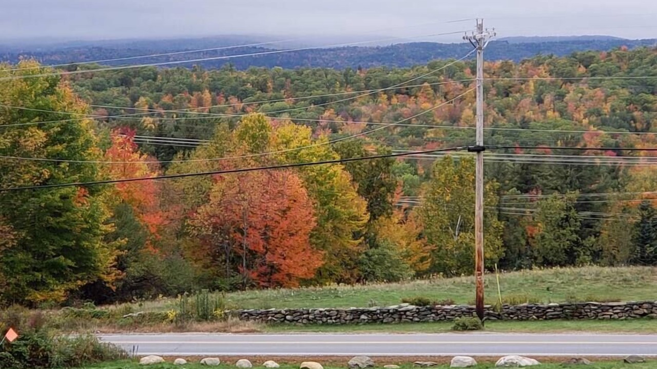 Photo of Others in Woodsville