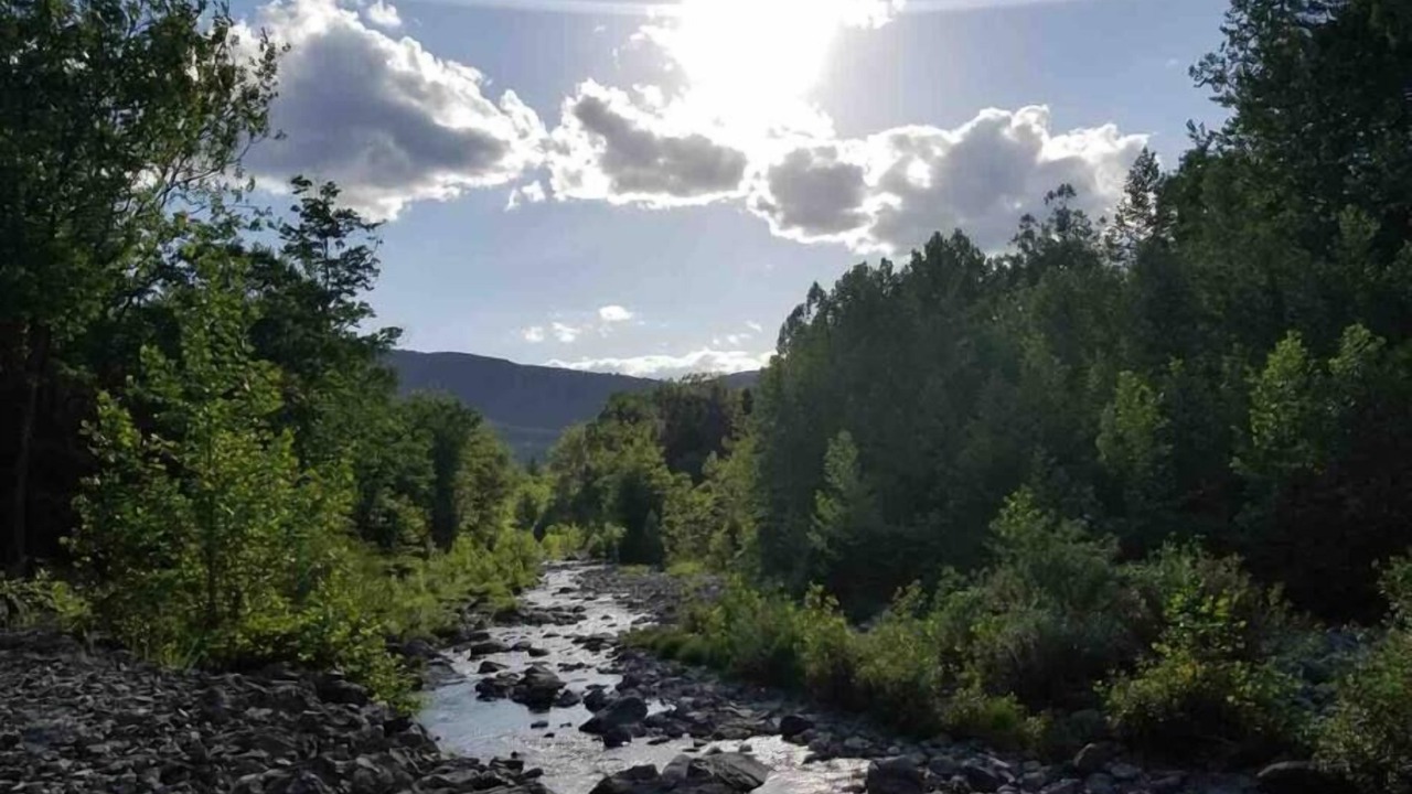 Photo of Others in Mount Tremper