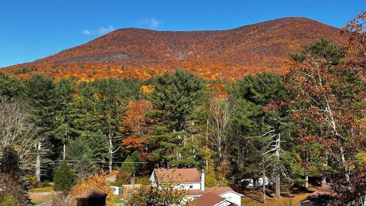 Photo of Others in Mount Tremper