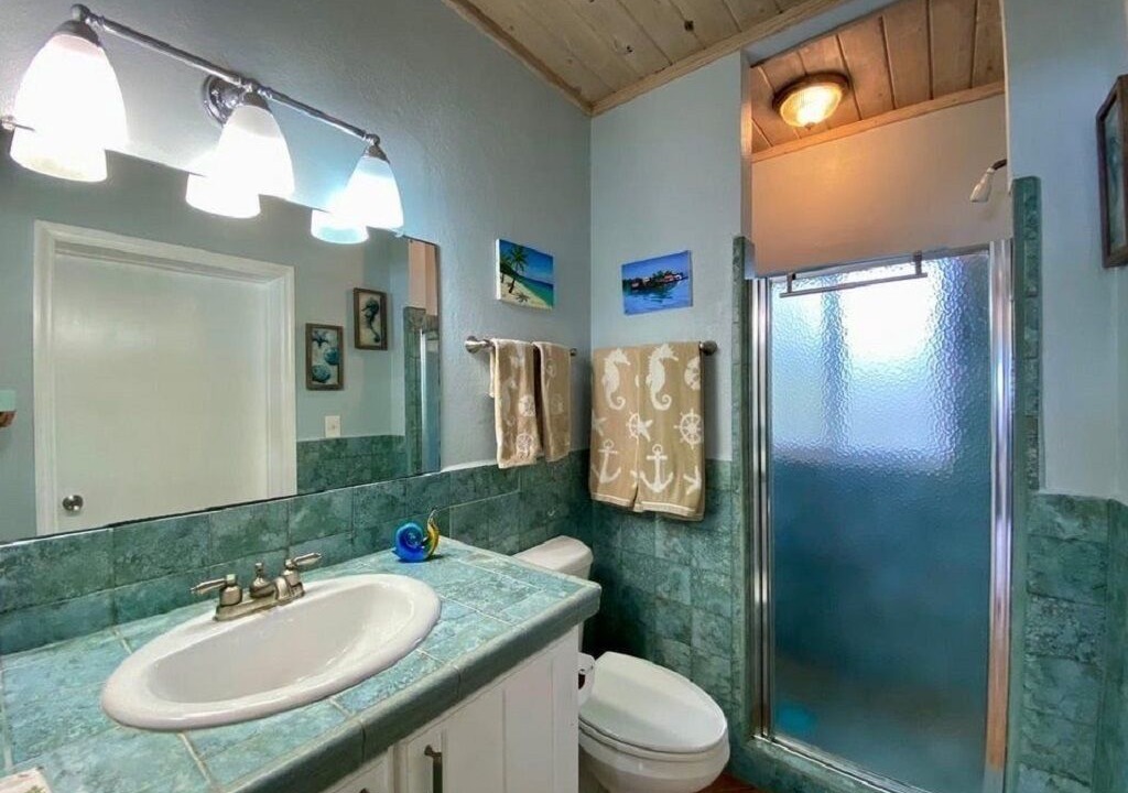 Photo of Bathroom in North Palmetto Point