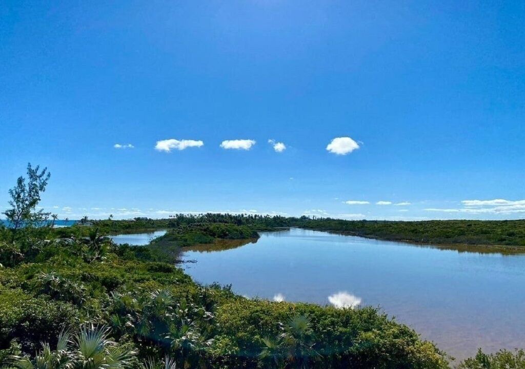 Photo of Others in North Palmetto Point