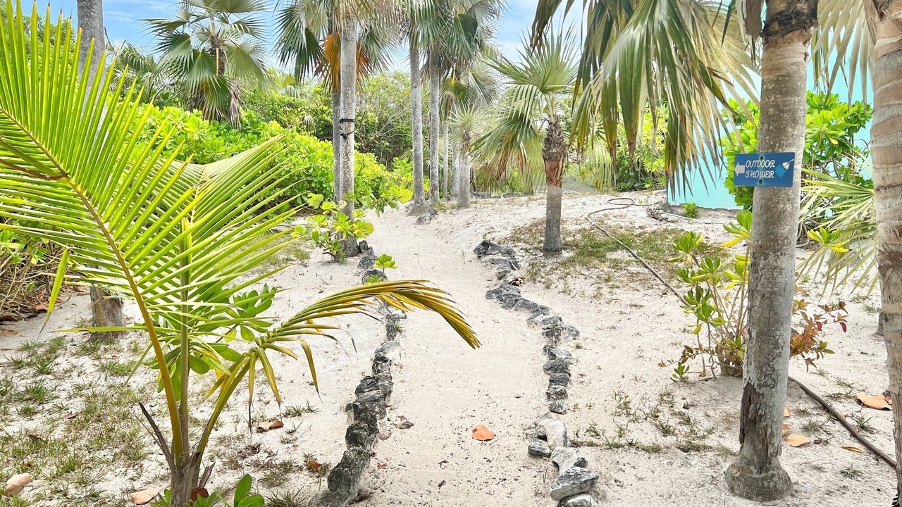 Photo of Outdoor in North Palmetto Point